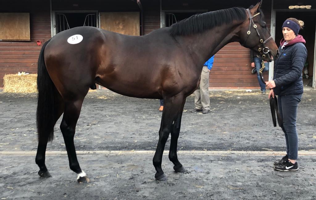Twirling Candy X Sweet Promises Colt
