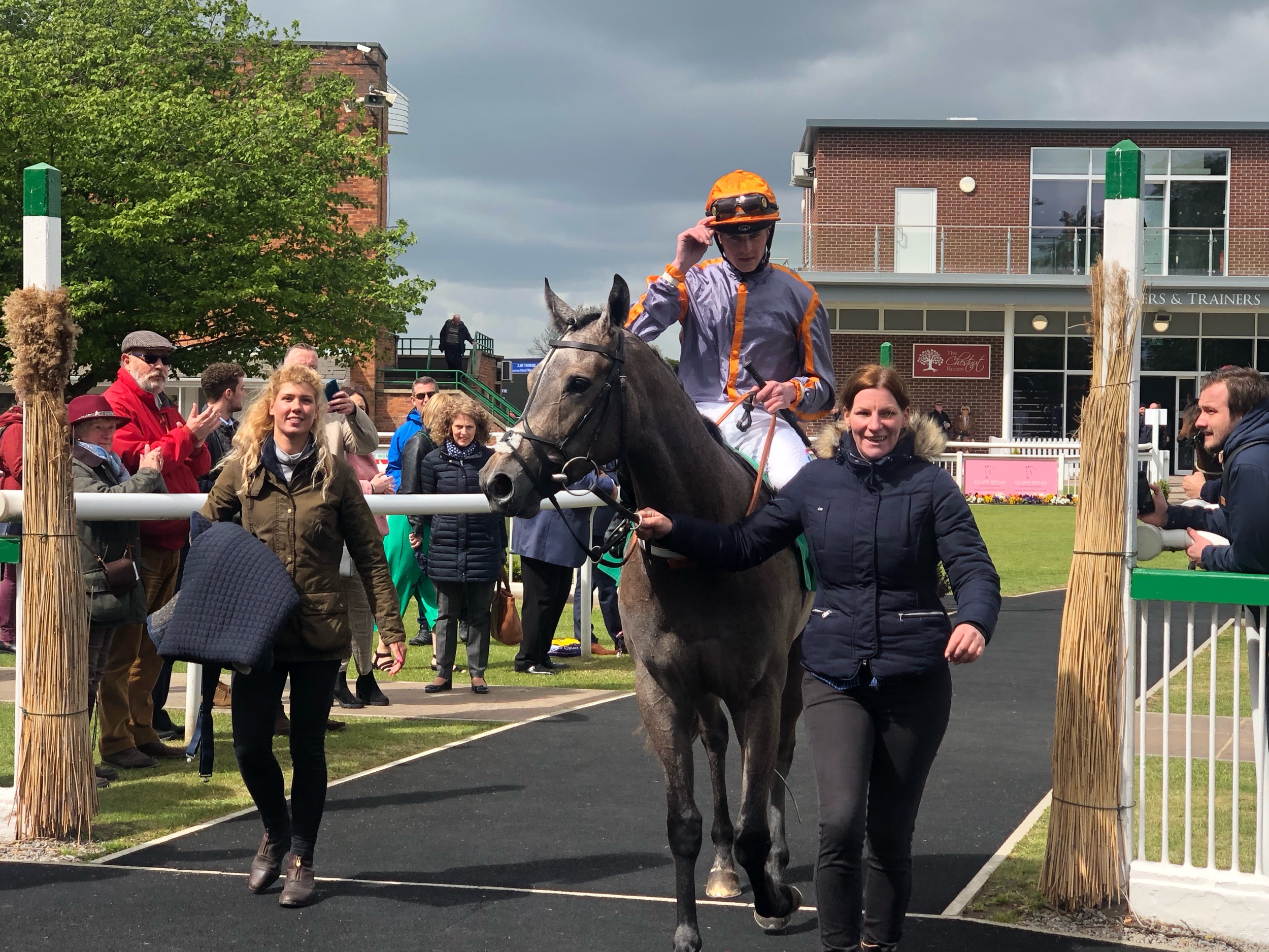 Insania heading into the winners spot.