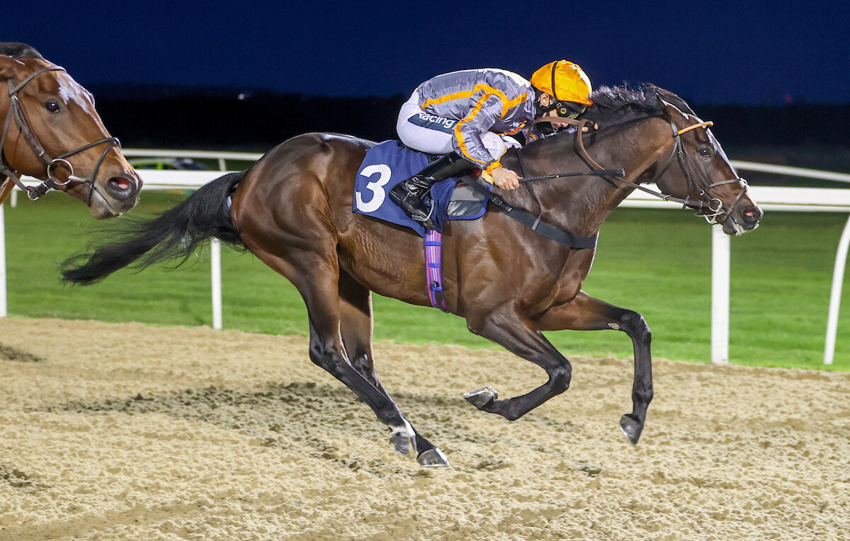 Twisted Dreams winning at Newcastle