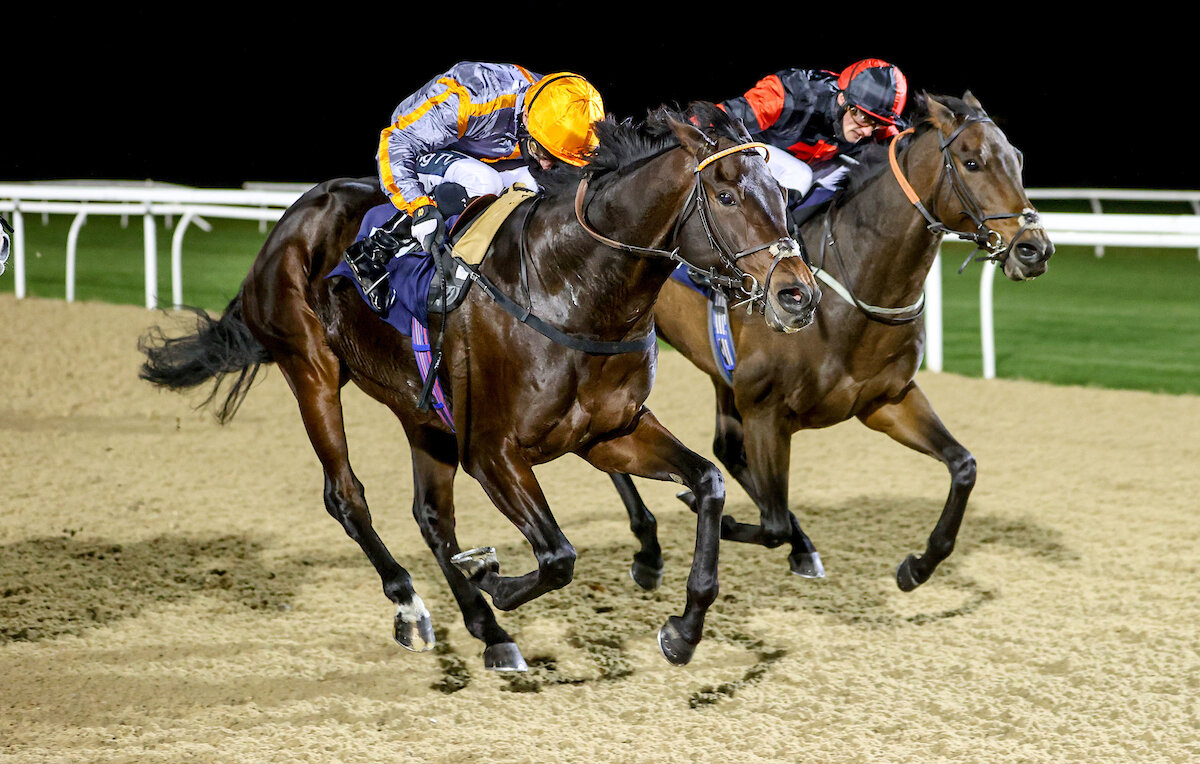 Twisted Dreams wins again at Newcastle.