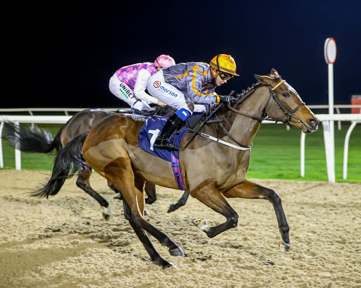 Holy Endeavour WINS at Newcastle.