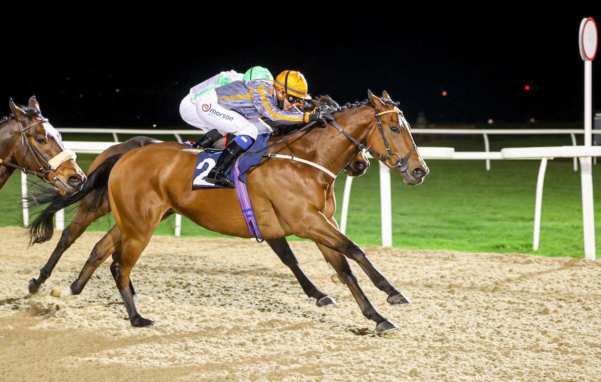 Astro Jakk wins at Newcastle.