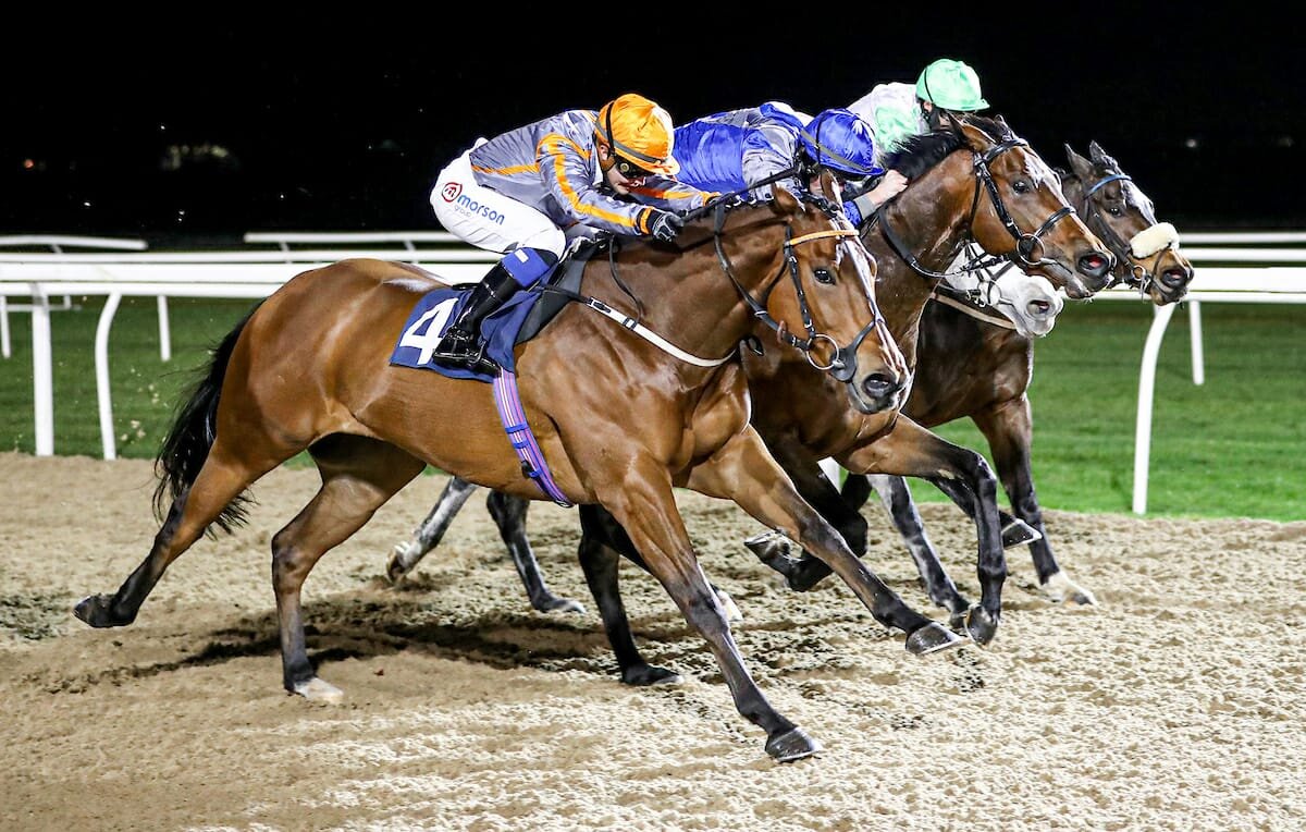 Astro Jakk wins again at Newcastle