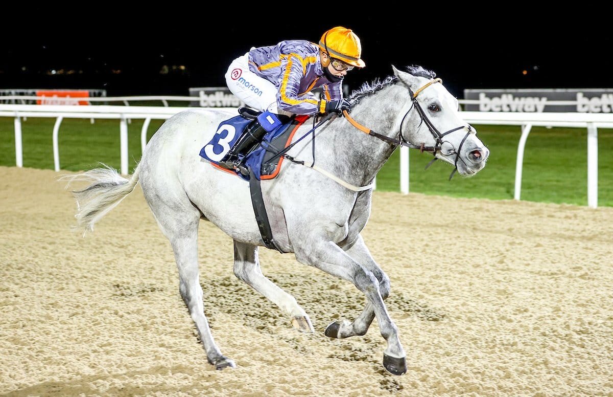 Devils Angel winning at Newcastle