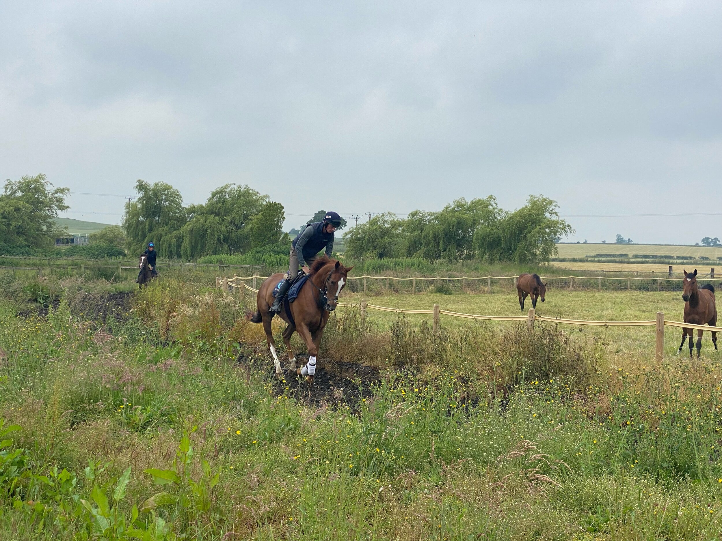 Getareason on the round gallop.
