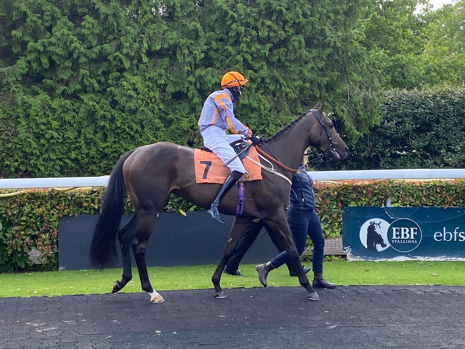 Toussarok at Kempton