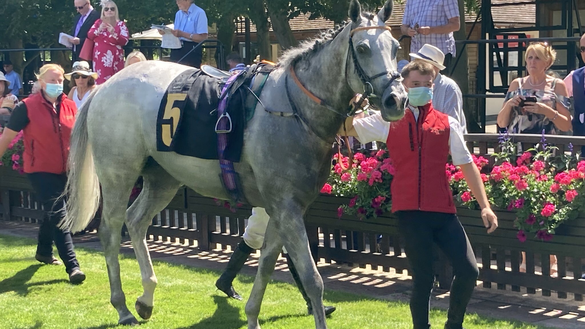 Devil’s Angel after winning at Newmarket.