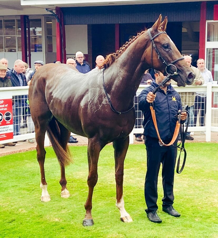 Spirit Catcher wins first time out at Redcar.