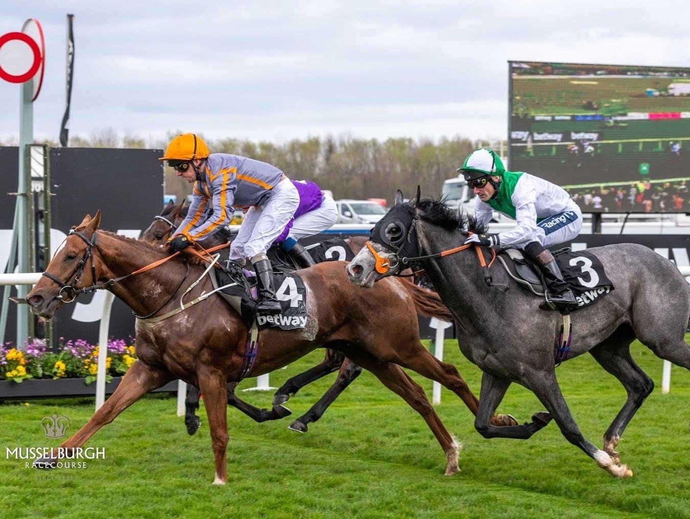 Spirit Catcher wins the Class 3 Royal Mile Handicap at Musselburgh.